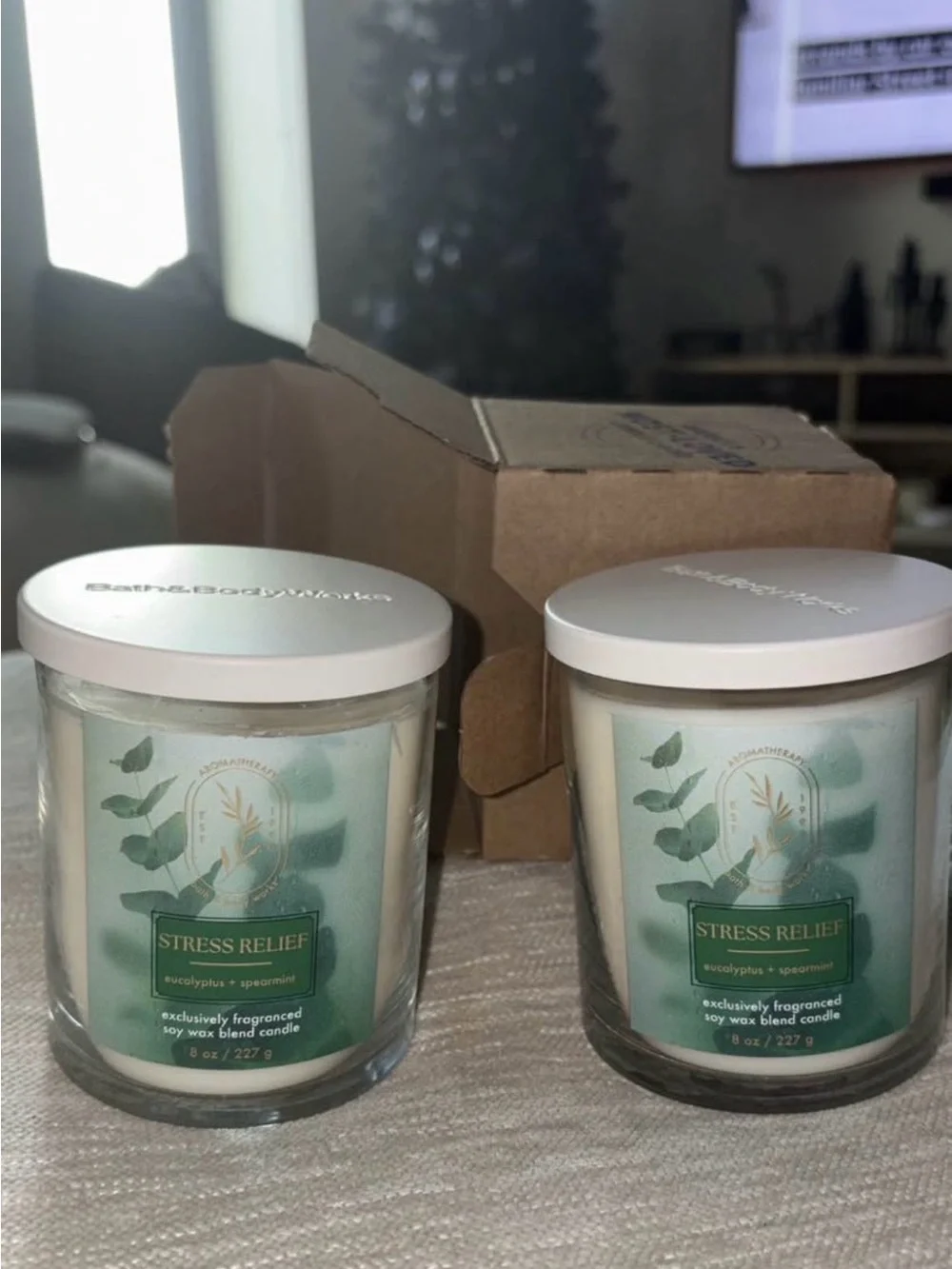 (2) Stress Relief Eucalyptus + Spearmint Scented one wick candle and bodywash